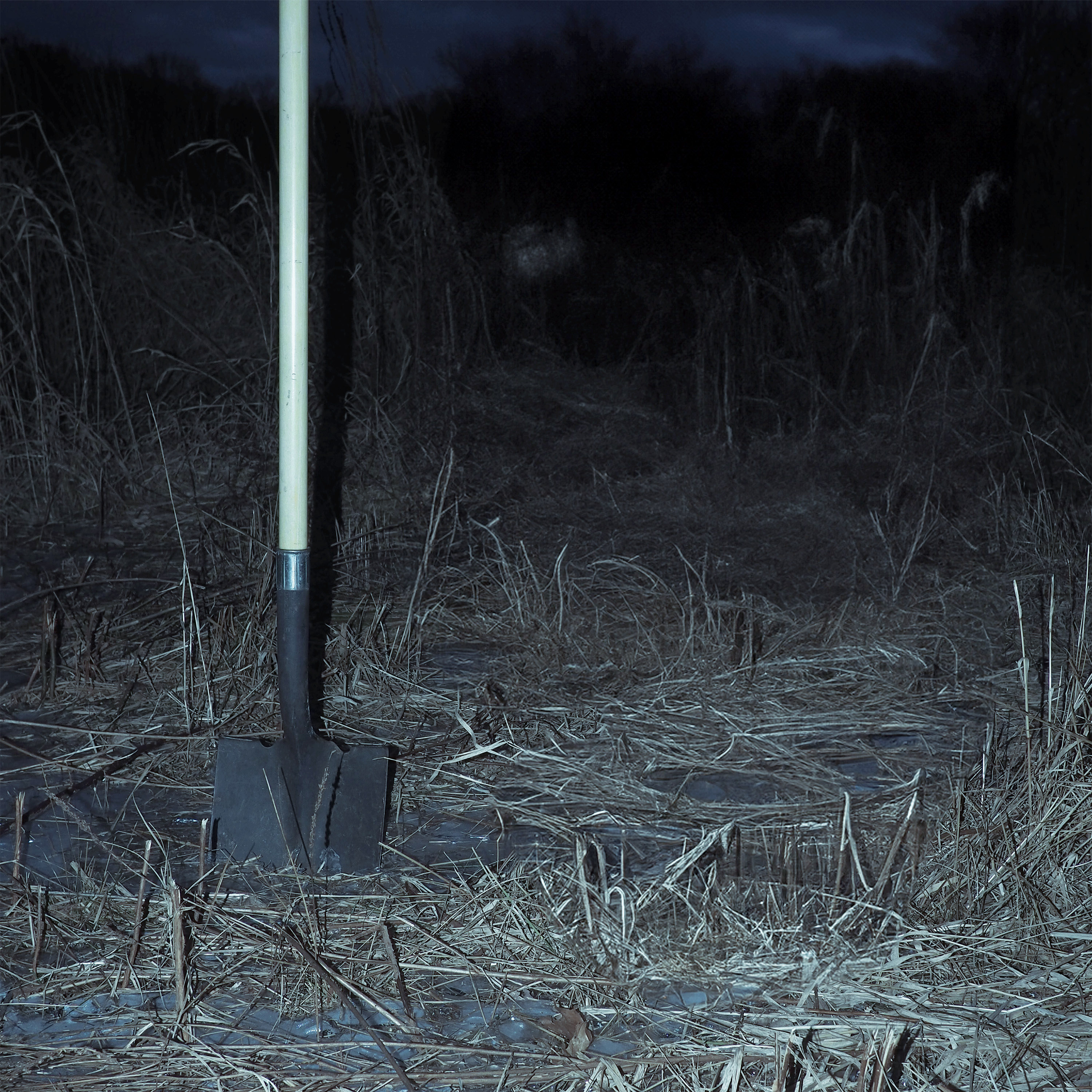 Cover for their single 'Home', released on March 28th, 2025.